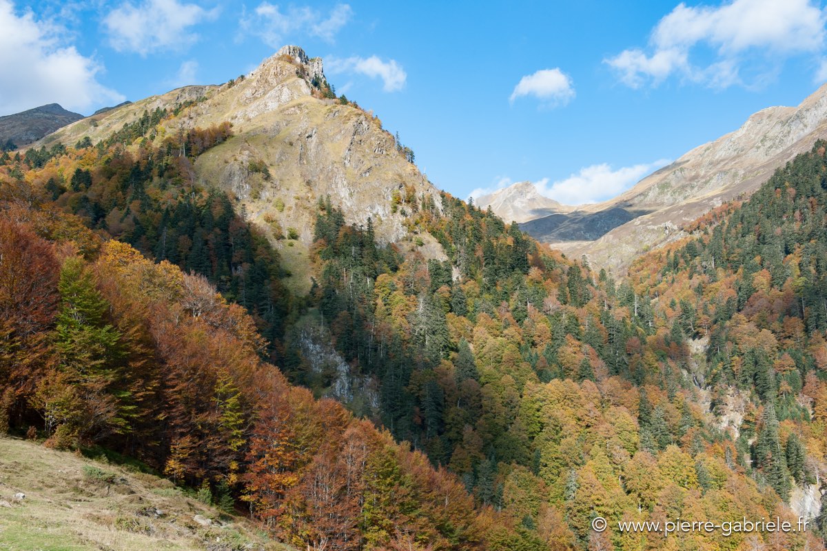 ayous_0592.jpg