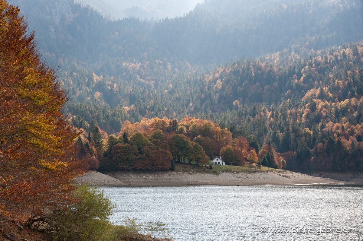 ayous_0600.jpg