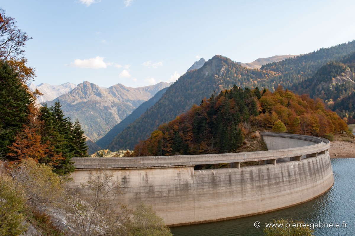ayous_0604.jpg