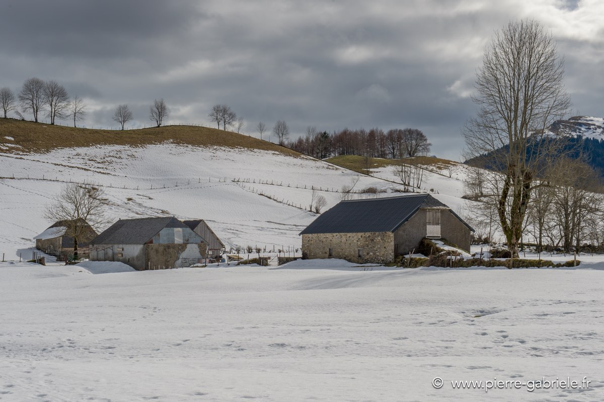 benou-01-2013_5001.jpg