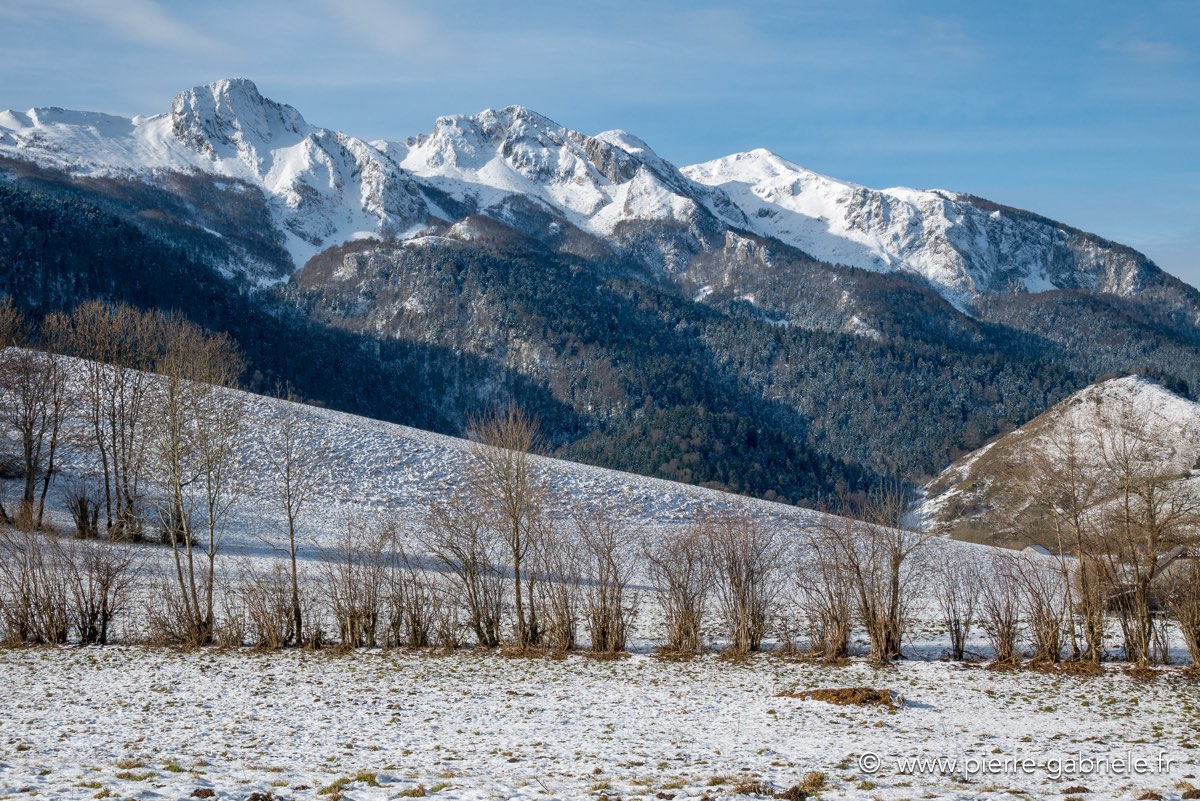benou-01-2016-gf7_022.jpg