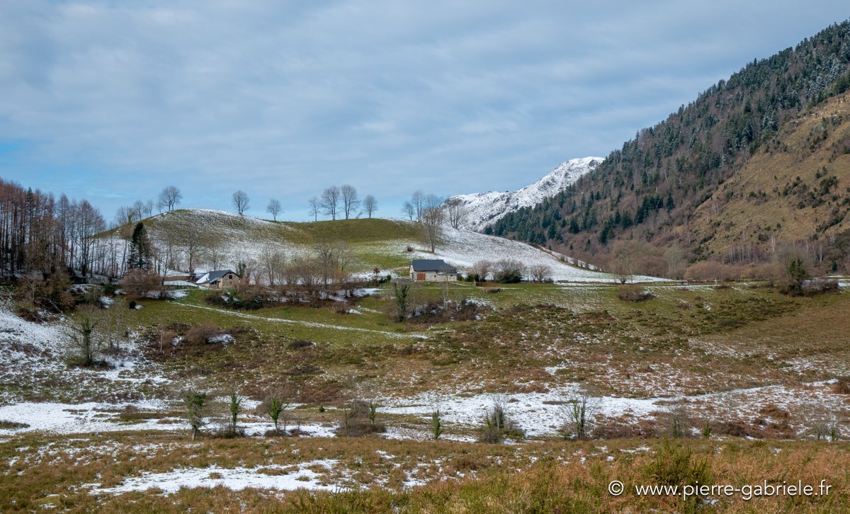benou-01-2016-gf7_049.jpg