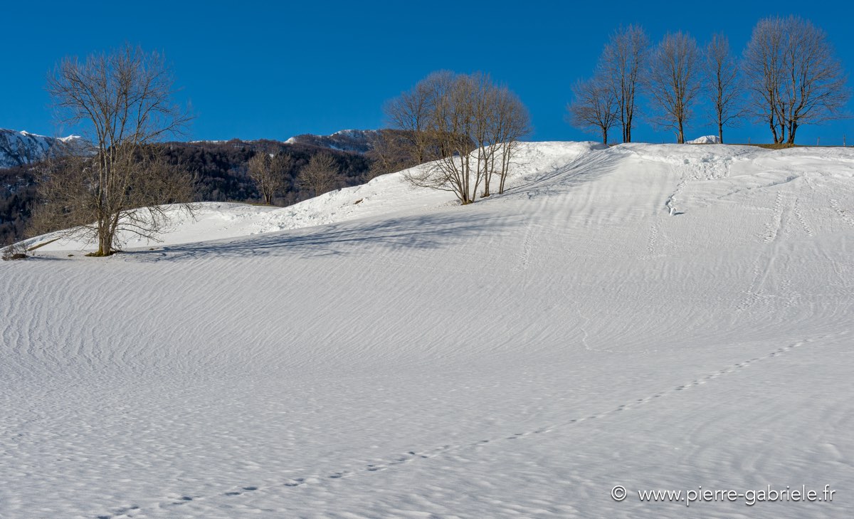 benou-02-2013_5044.jpg
