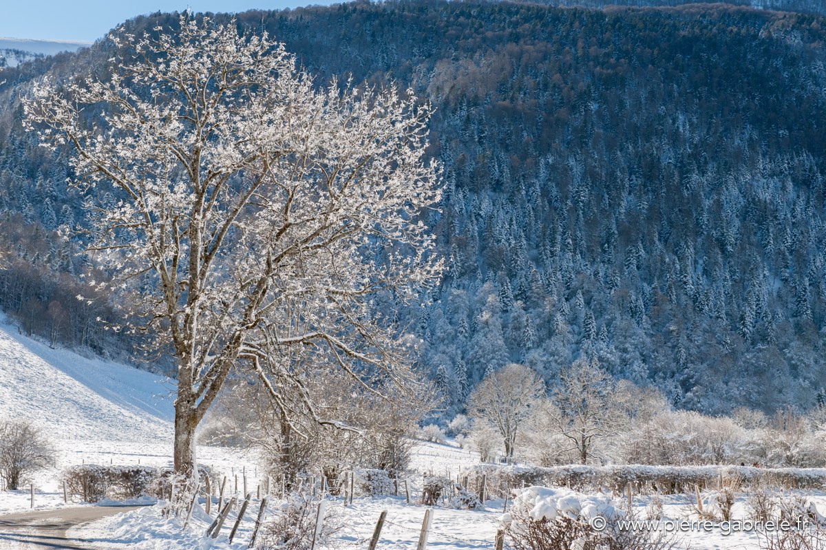 benou-12-2010_3656.jpg