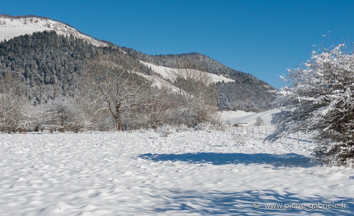 benou-12-2010_3682.jpg
