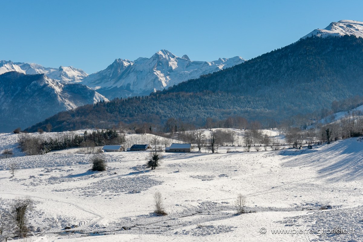 benou-12-2010_3735.jpg