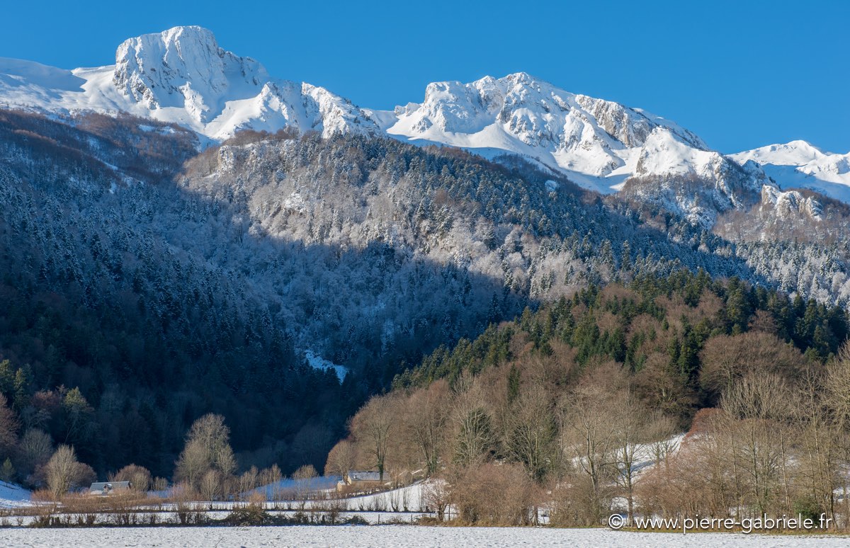 benou-12-2012_4831.jpg