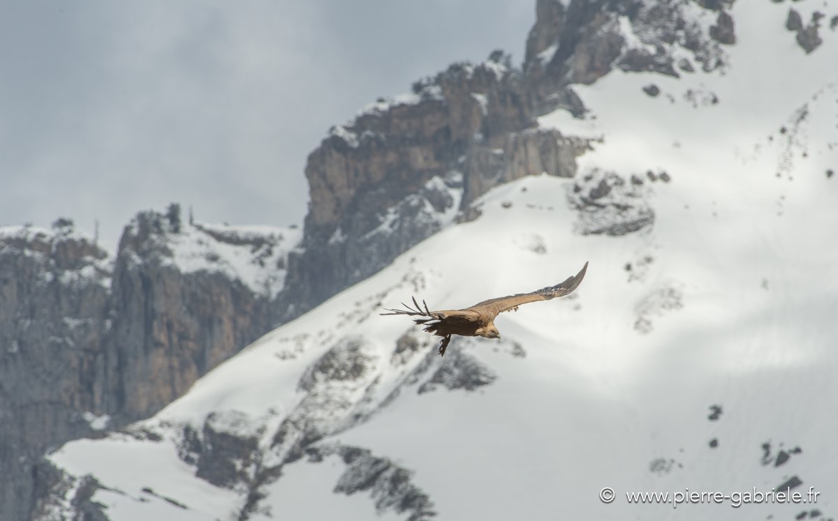 lescun-03-2013_5415.jpg