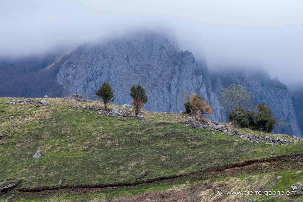 lescun-04-2016_1069.jpg