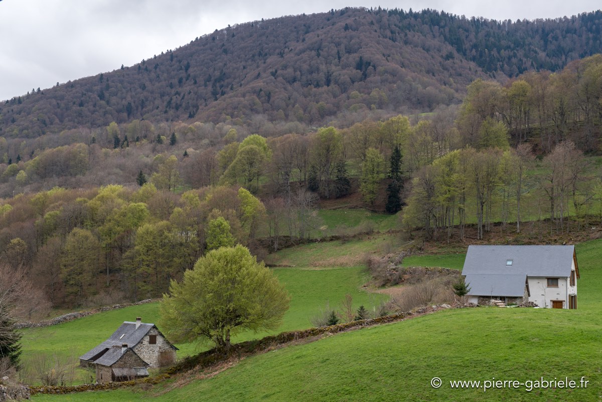 lescun-04-2016_1079.jpg