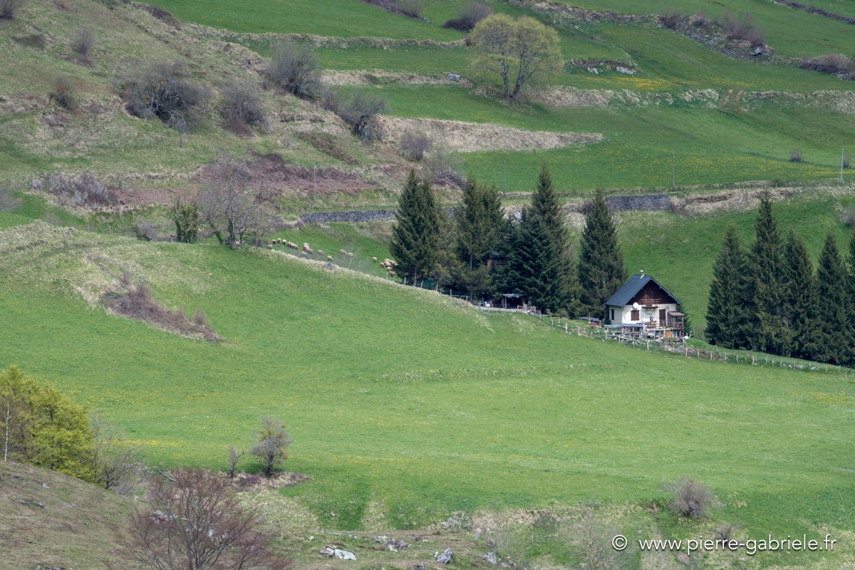 lescun-04-2016_1091.jpg