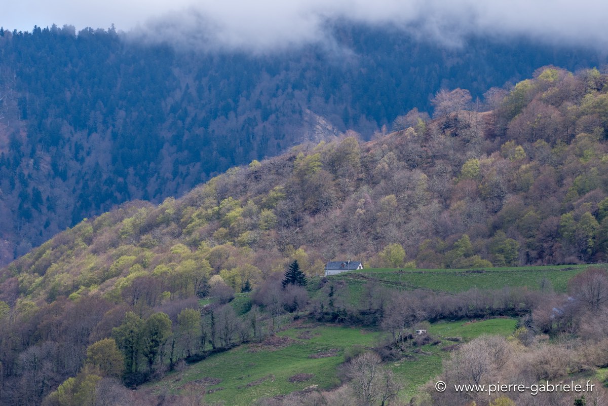 lescun-04-2016_1098.jpg