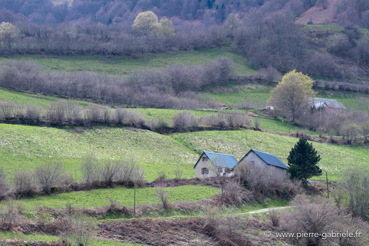 lescun-04-2016_1112.jpg