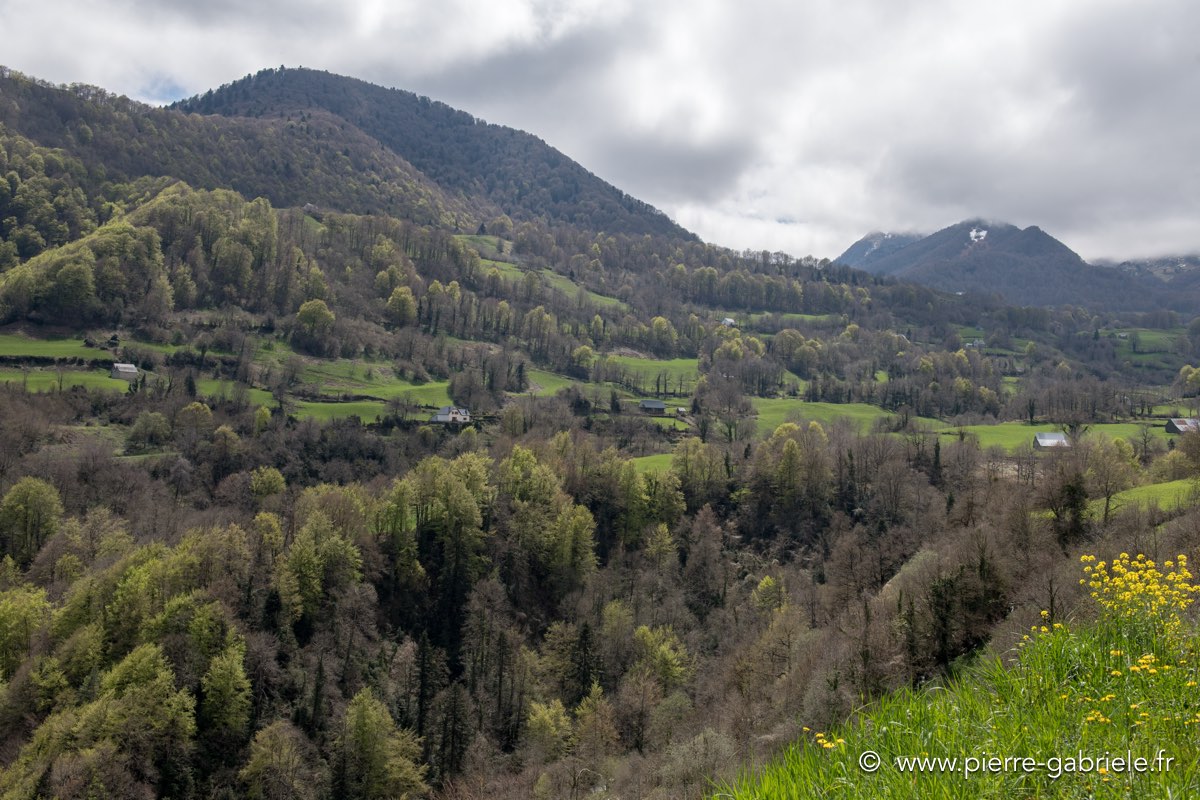 lescun-04-2016_1124.jpg