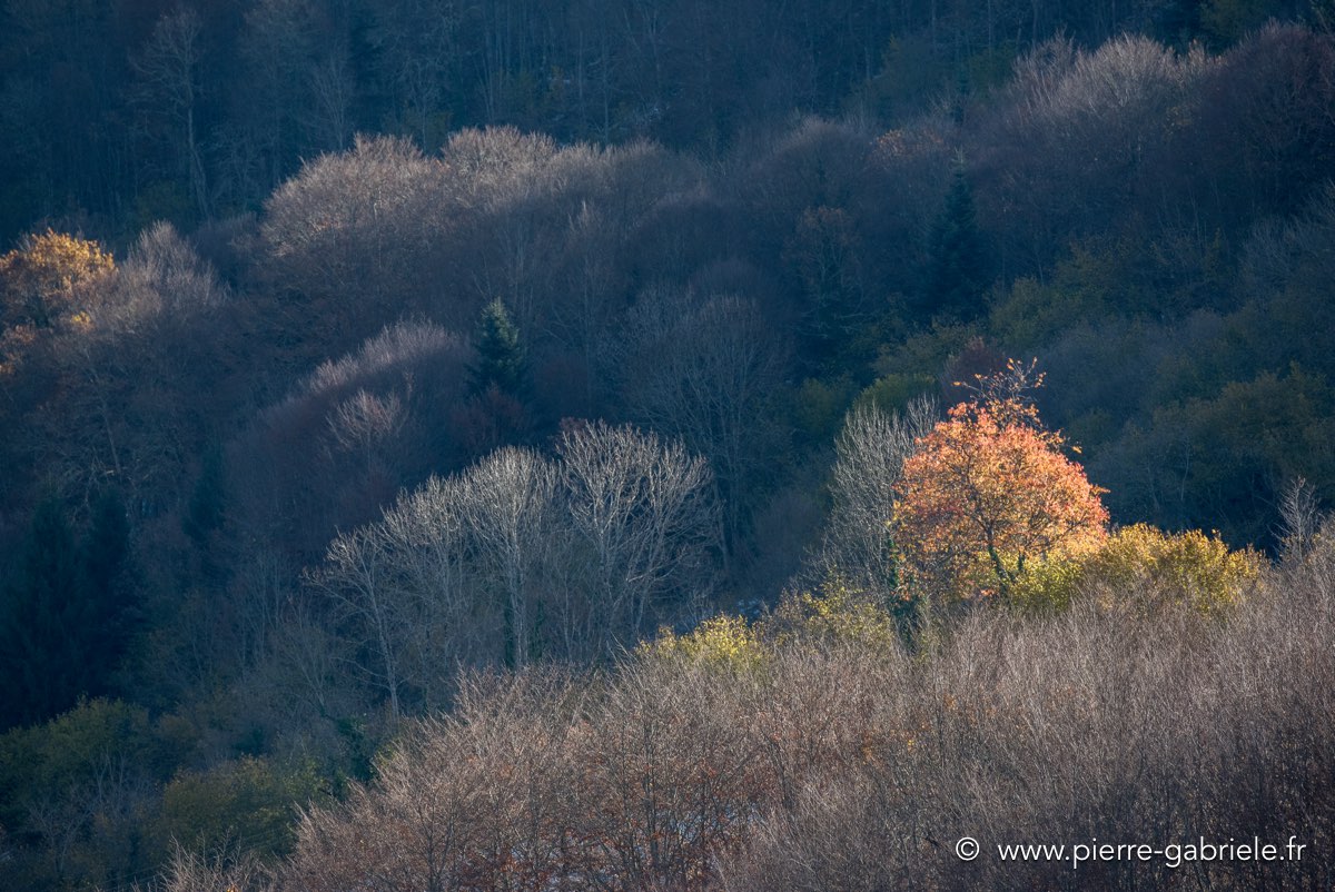 lescun-d752_5630.jpg