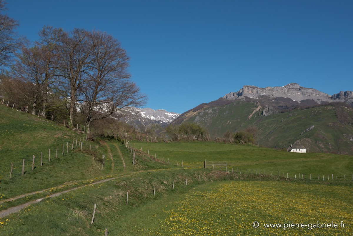 lhers-d750_6379.jpg