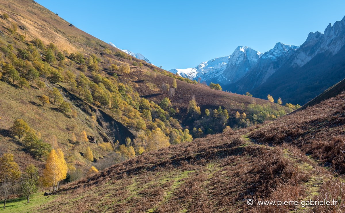osse-autour_7096.jpg