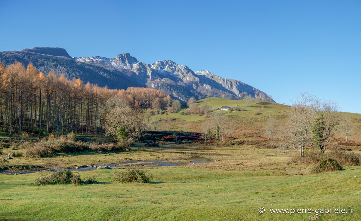 panorama-12-2015-2.jpg