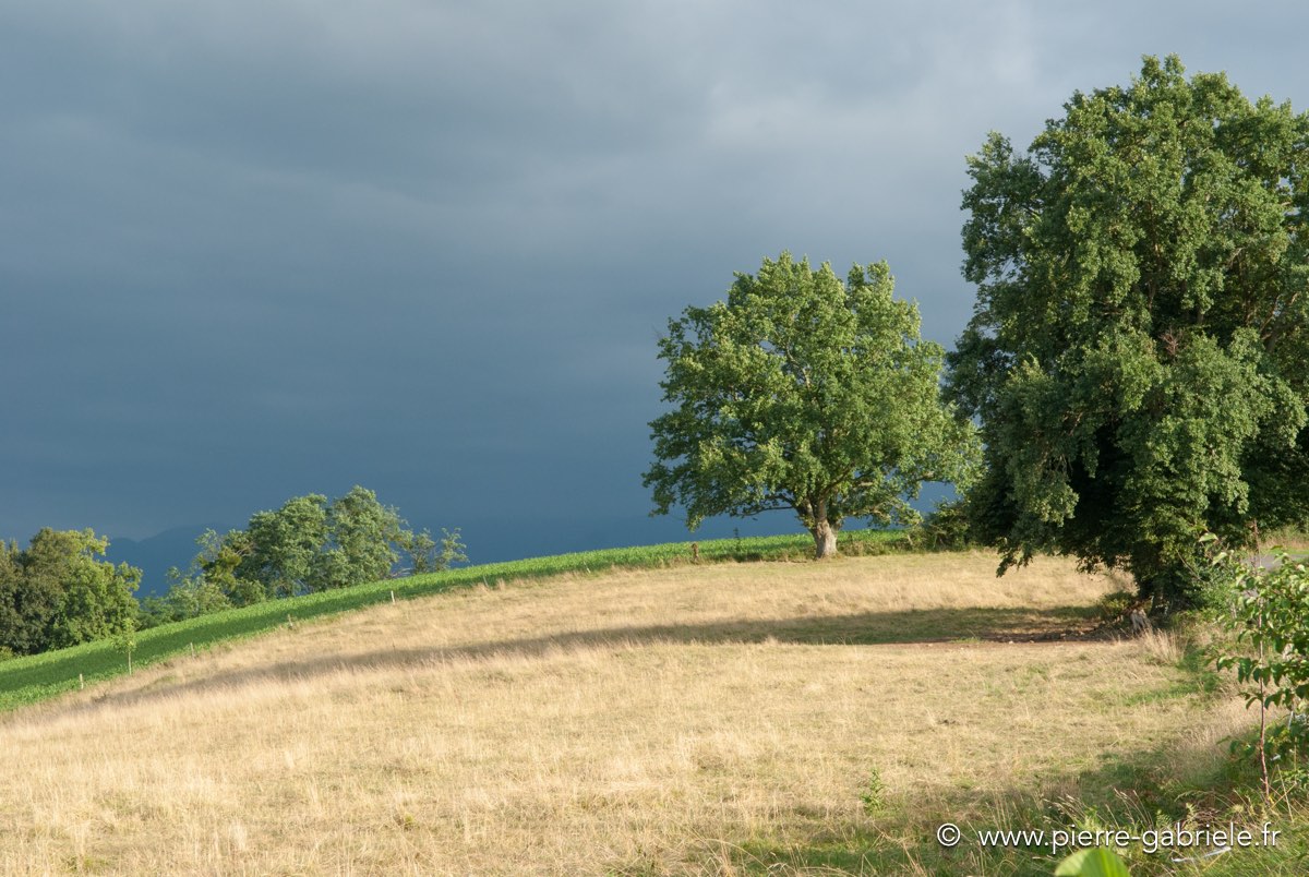 paysage-bearnais_3928.jpg