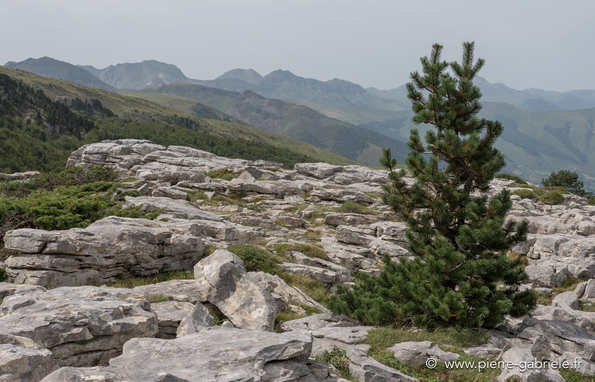 pierre-st-martin-gx8_0158.jpg