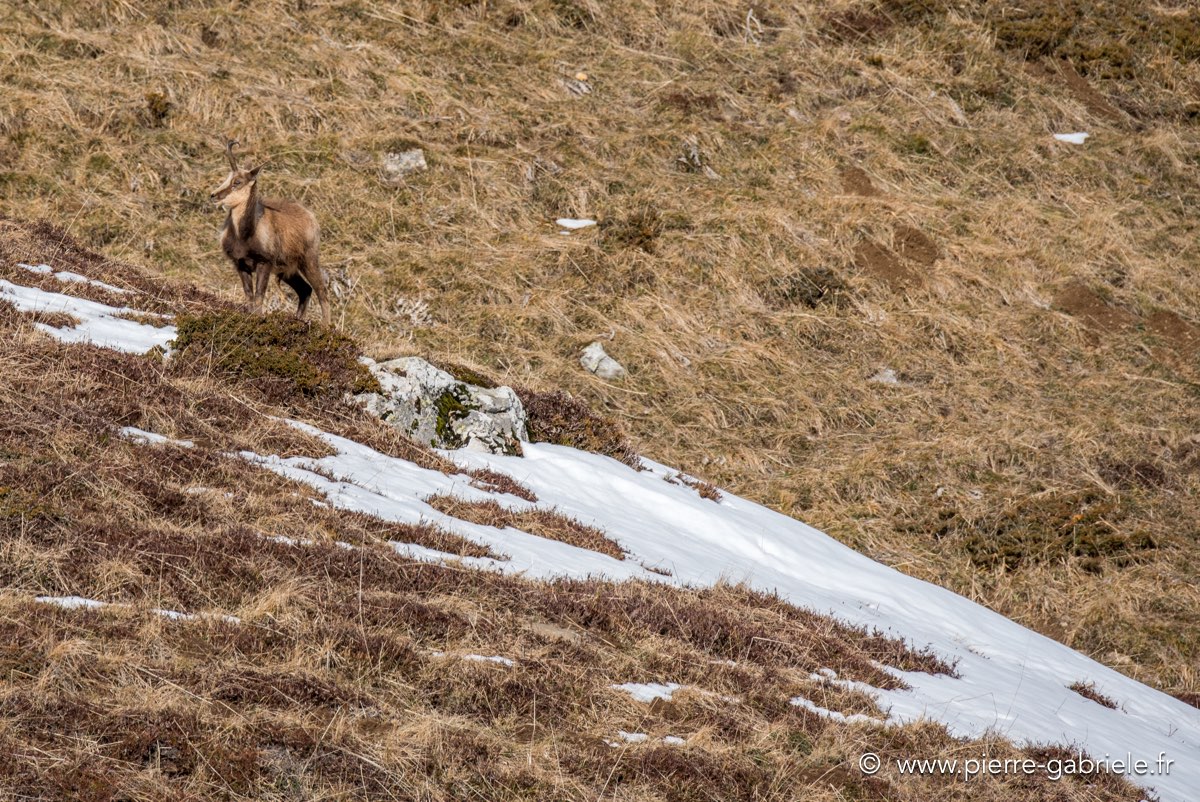 pourtalet-01-2016_5210.jpg
