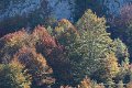 aubisque-soulor-automne-d500_8700