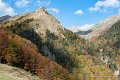 ayous_0592