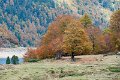 ayous_0627