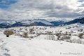 benou-01-2013_4980