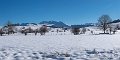 benou-01-2015_1251-panorama
