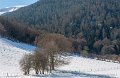 benou-02-2012_0909