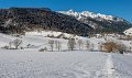 benou-02-2013_5065