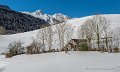 benou-02-2013_5101