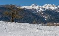 benou-03-2013_5143