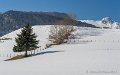 benou-03-2013_5156