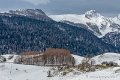benou-03-2013_5300