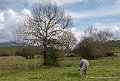 benou-10-2015_6929