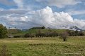 benou-10-2015_6935