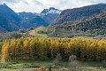 benou-11-2012_4635