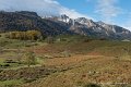 benou-11-2012_4643