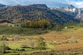 benou-11-2012_4648