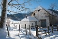 benou-12-2010_3630