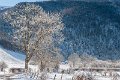 benou-12-2010_3656
