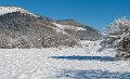 benou-12-2010_3682