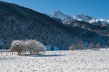 benou-12-2010_3684