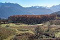 benou-12-2015_7137