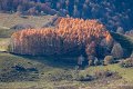 benou-gh5-leica_0070