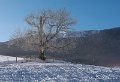 benou-gx8_0623