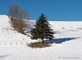 benou-gx8_0648