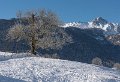 benou-gx8_0661